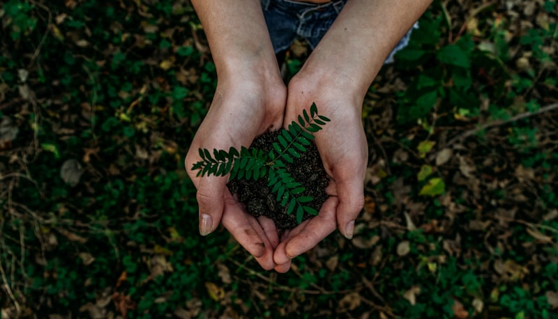 ISO 14001 là gì? Hướng dẫn áp dụng hệ thống quản lý môi trường EMS